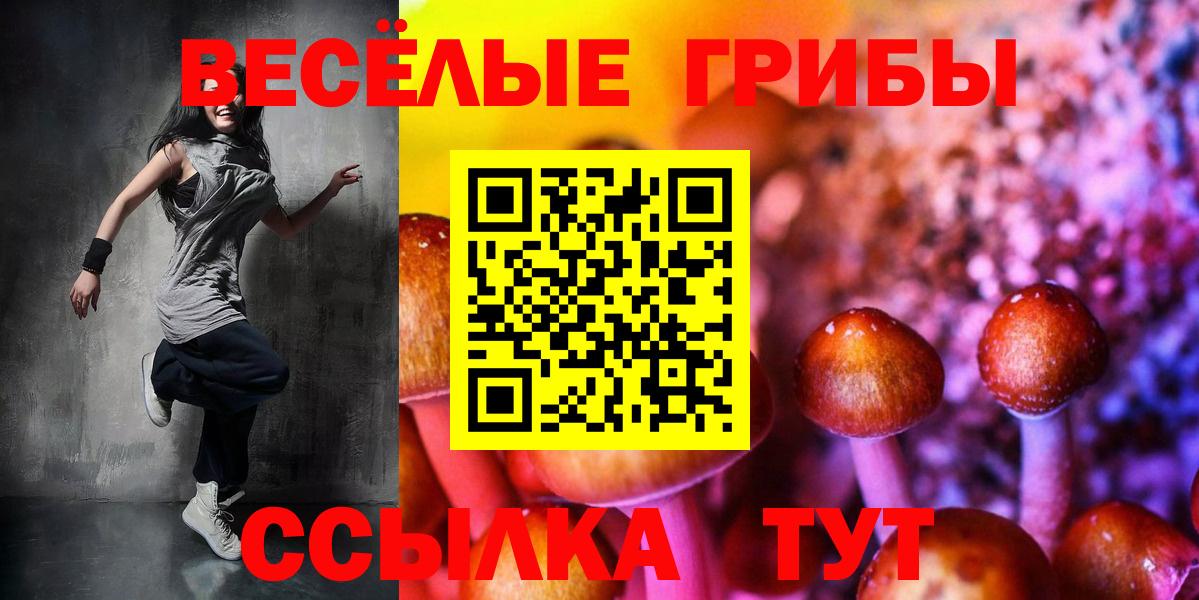Галлюциногенные грибы прущие грибы Белово