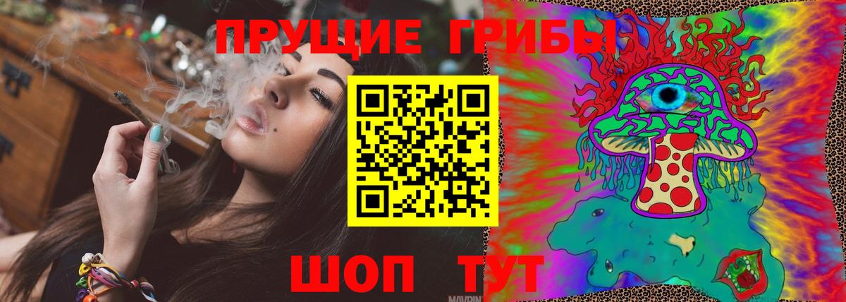 Белово  Галлюциногенные грибы Psilocybe  Вход с VPN 